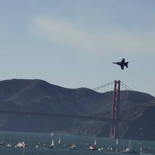 Avian Encounter at the Golden Gate