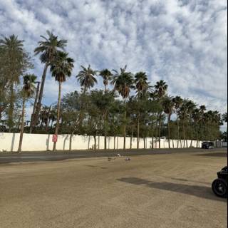 Tranquil Afternoon at Empire Polo Club