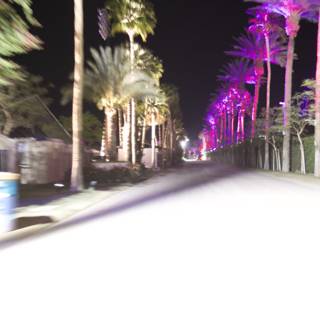 A Night Drive Through the Palm Trees