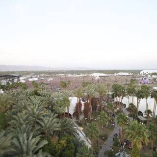 Aerial View of Palm Tree-filled Festival