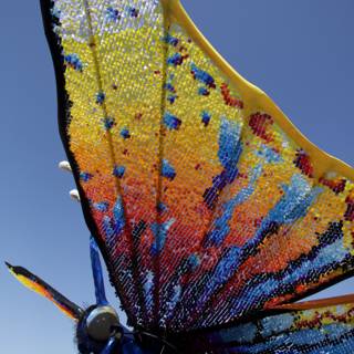 Colorful Butterfly in the Sky