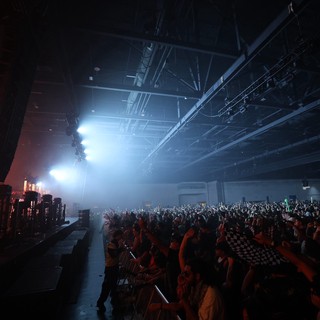 Massive Crowd Erupts at Wobbleland 2026 Festival