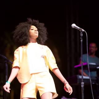Solange Takes the Stage with Her Afro