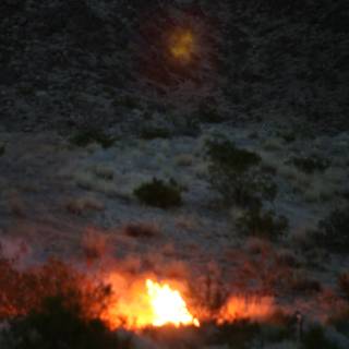 Desert Bonfire under the Starlit Sky