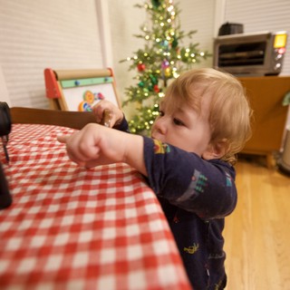 Toddler Reaching Towards Christmas Tree at Home