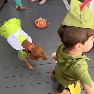 Child in Tinker Bell Costume at Halloween Gathering