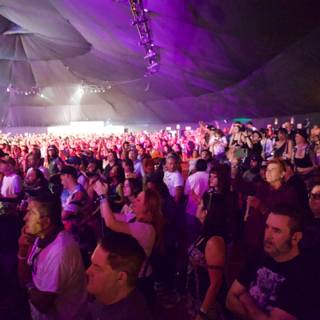 Under the Canopy: Vibrant Nights at Coachella 2024