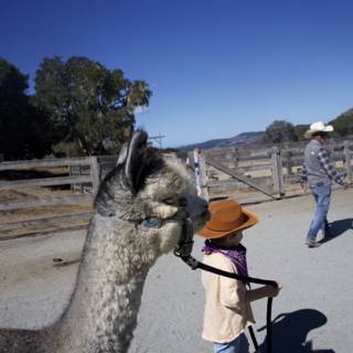 Walking with a Llama