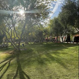 Sunlit Serenity at Empire Polo Club
