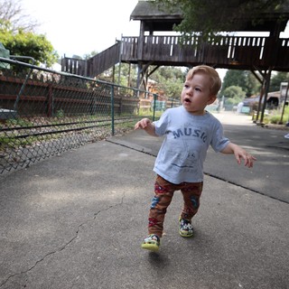 Toddler Exploring Zoo Pathway with Wooden Observation Tower