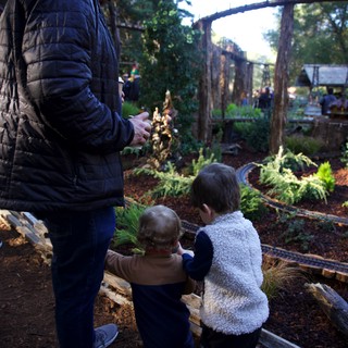Community garden or botanical center