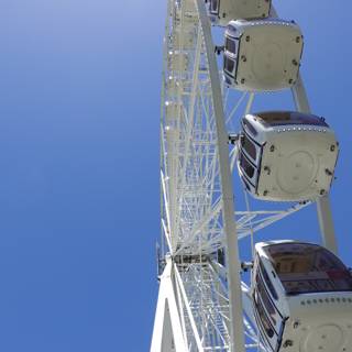 Riding High on the Ferris Wheel