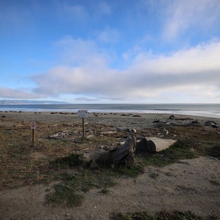 Coastal Trail at Drake's Beach Elephant Seal Reserve