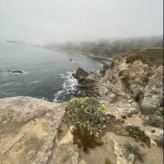 Coastal Scenery at Jenner's Promontory