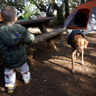 campsite