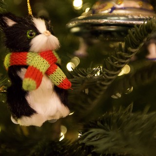 Black and White Cat Christmas Ornament with Festive Scarf