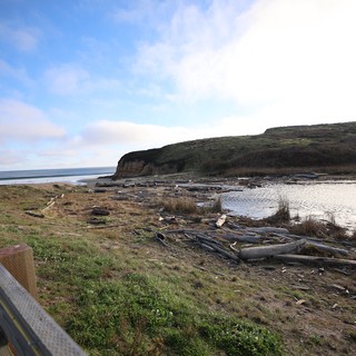 Driftwood Strewn Coastline at Drakes Beach