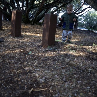 Young Explorer Among Rustic Posts at Mount Diablo