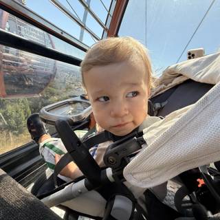 A Day at the Zoo