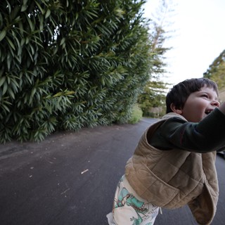 Young Boy Running Joyfully Down Tree-Lined Path