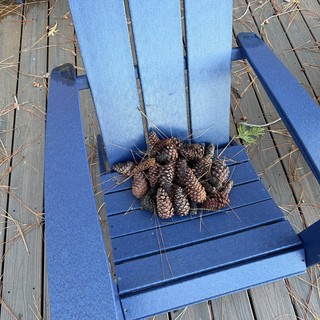 adirondack-chair