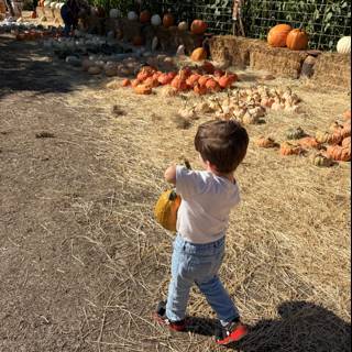 Fall Harvest Adventure