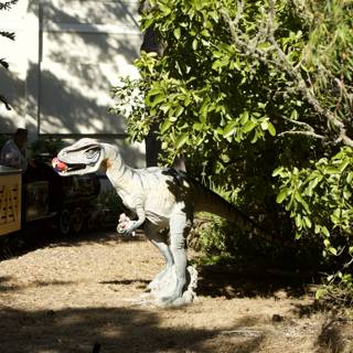 Roaring Express: A Unique Encounter at San Francisco Zoo & Gardens