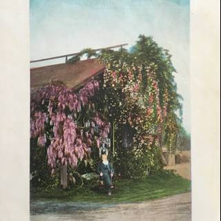 Vintage postcard of a woman in a garden