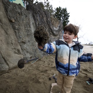 Young Boy Discovers Marine Life at Sandy Beach