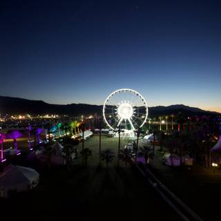 Illuminated Wonder at Coachella Night