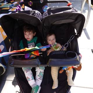 Double Stroller Adventures