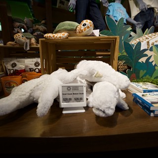 Stuffed Sea Creatures Display at Museum Gift Shop