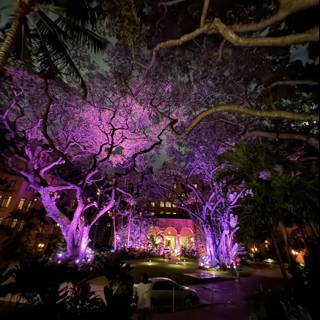 Enchanted Evenings at The Royal Hawaiian