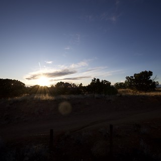 Desert Sunset Through Silhouetted Trees and Golden Grass