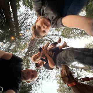 A Woodland Gathering