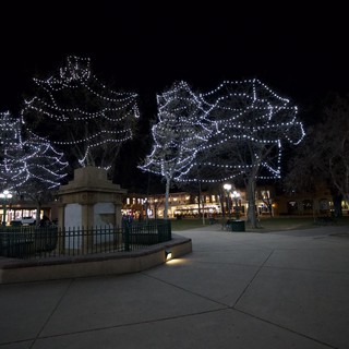 Illuminated Trees at Santa Fe Plaza at Night
