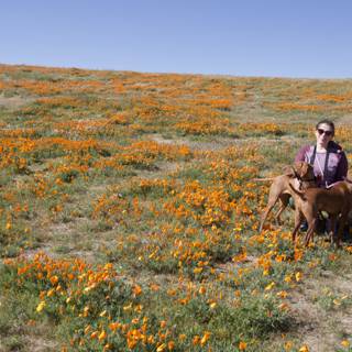 A Day in the Wildflowers
