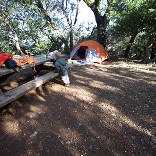 Toddler Explorer at Mount Diablo Campsite