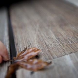 Autumn Leaf on Weathered Wood Surface
