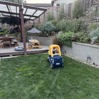 Toddler in Toy Truck Exploring Landscaped Backyard