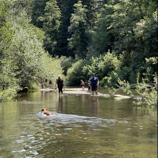 A Man and His Dog Take a Swim in the River