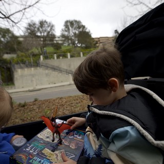 Child Reading Dinosaur Book on Road Trip