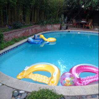 Refreshing Dip in the Backyard Pool