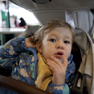 Toddler in Stroller with Finger Near Mouth