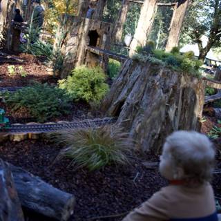 Enchanted Woodland Adventure