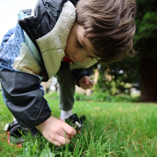 Child Discovering Nature in Park Exploration
