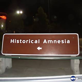 Reflection on Historical Amnesia