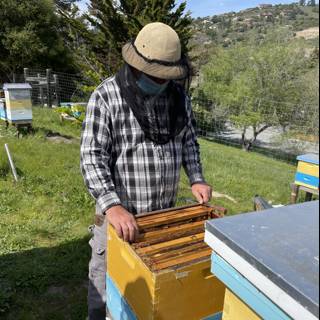 Beekeeping in the Californian Countryside