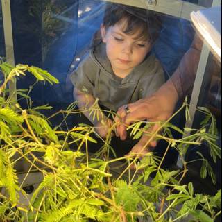Curious Minds in the Greenhouse