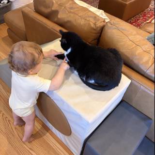 Paws and Playtime